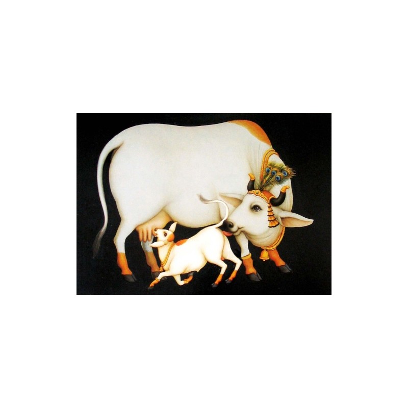 Die heilige Kuh (Super Fotos)